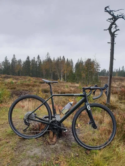 xbednar - Kupie! Miurki, nie pozbywa się ktoś z was może gravela/szosy road plus w ro...