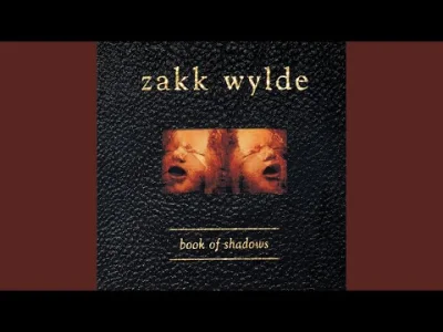 Ethellon - Zakk Wylde - Way Beyond Empty
#muzyka #zakkwylde #ethellonmuzyka