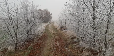 NotYetDefined - Zimowa sceneria, uchwycona podczas spaceru. Nawet peryferie małych mi...