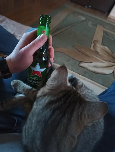 diway - Siedzę se z kotem i pije piwo xD

#pijzwykopem #koty