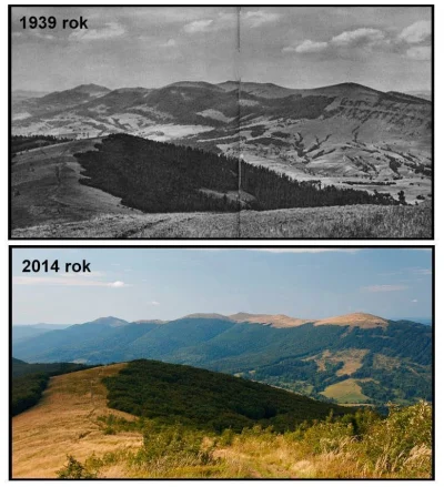Zwiadowca_Historii - "Kiedyś to było naprawdę dziko i zielono" w Bieszczadach... w mn...