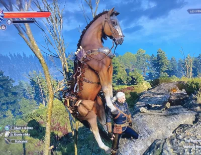 nicnieslyszalam - @korin_: u mnie czasem to kon jechał na Geralcie. Konsola