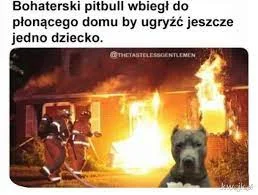 w1Lku - @Pitagolas: Dokładnie!