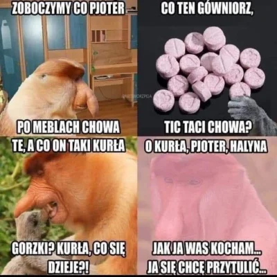 W.....n - #narkotykizawszespoko #konkursnanajbardziejgownianymemznosaczem #mdma