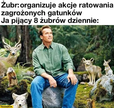 I.....I - Żubr, metoda na głoda.