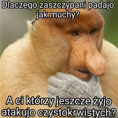 merti - #covid19 #koronawirus #szczepienia #covidianie #szury #humorobrazkowy 
#hehe...