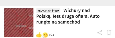 Konsyriusz - Co za idiota sadzi niestabilne auta? #onet