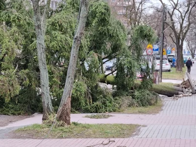 slec - szczescie, ze sobota