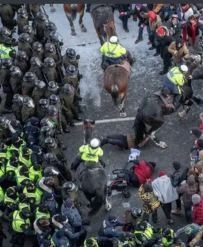 Davvs - Kanada: Najnowsze risercze pokazują, że brutalne tratowanie ludzi końmi zapob...