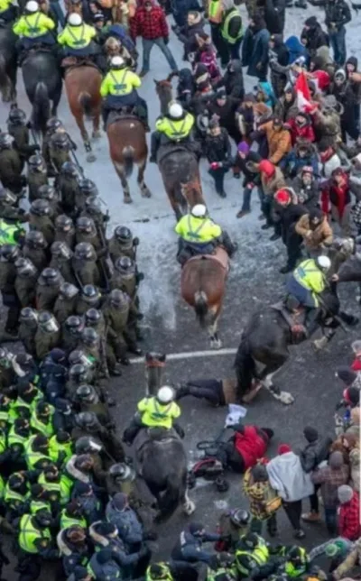 covid_duck - Kanada 2022. Ten kadr Policji Konnej tratującej pokojowo protestujących ...