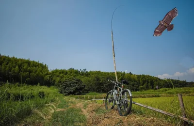 ijones - W Japonii wszystko jest piękniejsze - nawet strachy na wróble są sztuką :D 
...