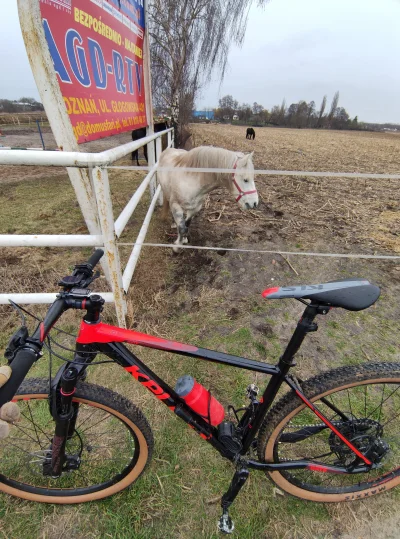 Pszesmiewca - 40 315 + 50 + 26 = 40 391

Wreszcie udało mi się urwać parę kilometrów:...