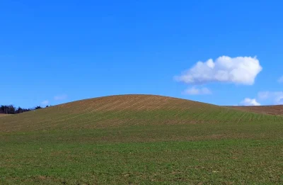 czehuziom - Czapury koło Poznania, zdjęcie z wczoraj
autor: mój kolega :) 
#windowsxp...