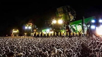 zielonyludzik2 - Tłumy ludzi świętujące na koncercie w Doniecku zorganizowanym z okaz...
