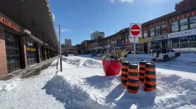 rzep - Ottawa zaproponowała pakiet wsparcia dla firm, które były dotknięte przez niel...