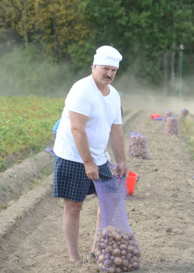 B.....a - @FrauWolf: W ramach operacji pokojowych Łukaszenko będzie zbierać ziemniaki