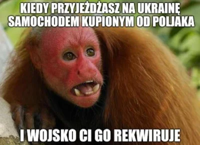 S.....y - #ukraina #wojna #rosja #heheszki #humorobrazkowy