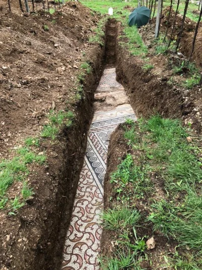 fledgeling - Starożytna mozaika znaleziona pod plantacją winorośli
#ciekawostkihisto...