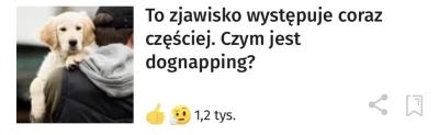 PanMaglev - Myślałem, że chodzi o spanko z pieskiem, a to chodzi o porwania.