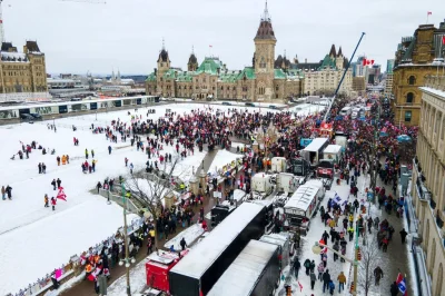 PDCCH - Ciekawy artykuł rzucający nieco inne światło na te "wolnościowe protesty". No...