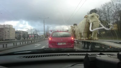 Szczesliwychlopiecz_GULAGU - Polska transportuje mamuty bojowe na granicę
#ukraina #...
