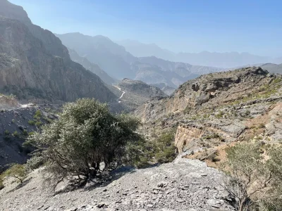 krzych0 - Drogi pamiętniczku przejechałem dzisiaj Wadi Bani Auf, najpiękniejsza drogę...