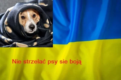 ksieciunioczarnegohumoru96 - Mogli by już przestać bo psy się boją ... 
#ukraina #hu...
