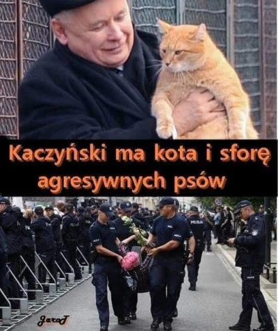 satani - @sztywnykocur: jesteś tym słynnym kotem Kaczyńskiego?