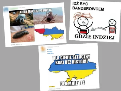 Holiday - Kilka tygodni i miesięcy temu taka propaganda była na wykopie plusowana reg...