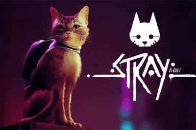 SpiderFYM - Były jakieś nowe informacje na temat Stray?
#ps5 #stray