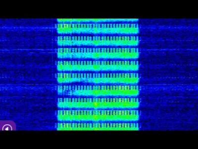 Jeslisieboiszjuznim_jestes - Przed chwilą był hymn ukrainy a teraz klasyka: darude sa...