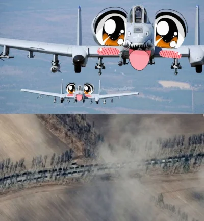 purpleyaoguai - Aż się proszą (｡◕‿‿◕｡)
#aircraftboners #ukraina #wojna