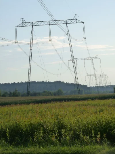 serek_heterogenizowany - Mogliby w końcu z powrotem uruchomić linię 750 kV Widełka - ...