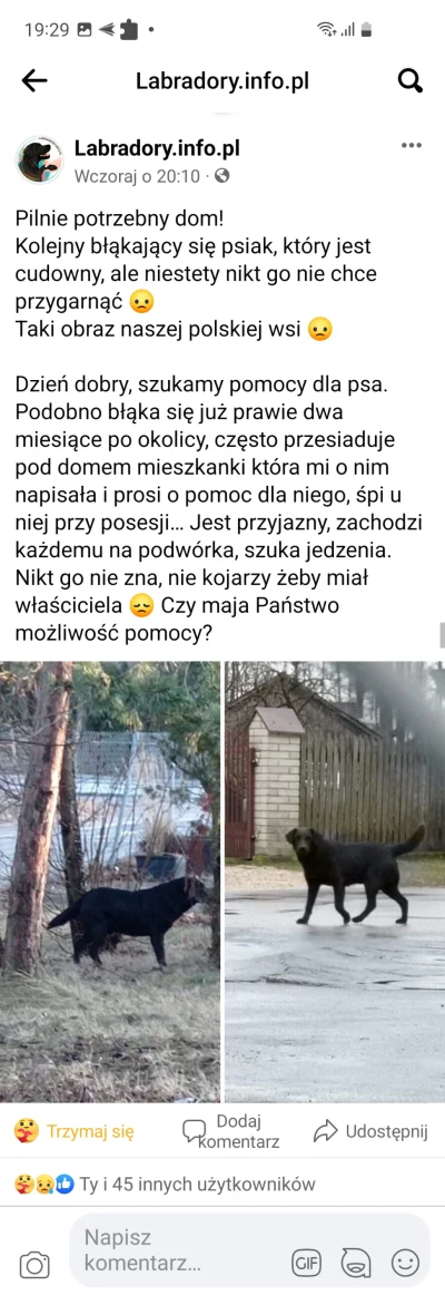 LadyMartini - Czy ktoś z #warszawa mógłby pojechać i zabezpieczyć tego psa?
Ludzie ze...