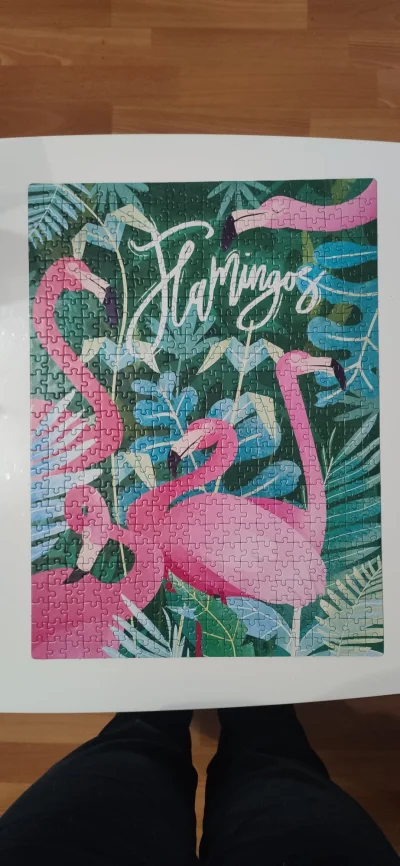 dorotka-wu - Kocham Flamingi więc musiałam kupić te 500. Myślałam że ułożę je za jedn...