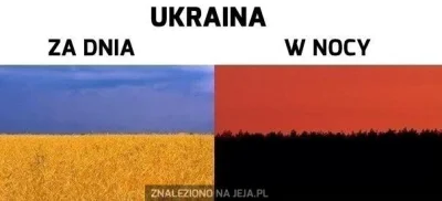 Ineedrest - Zapytajcie braci Ukraińców jaką rolę odegrała Polska w ich historii i kom...