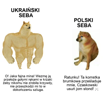 McWozniak - ( ͡° ͜ʖ ͡°)
#bekazprawakow #neuropa #wojna #ukraina #heheszki