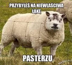 a.....t - Mem warty przypomnienia w obecnych czasach #ukraina #wojna #humorobrazkowy