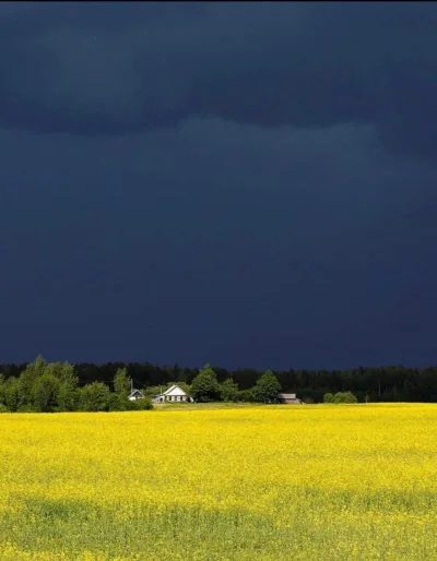 pekas - #fotografia #ukraina #estetyczneobrazki 


Tak zwana cisza przed burzą.