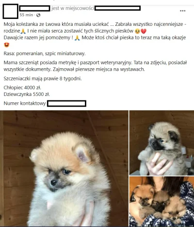 Mfalme_Kitunguu - Niestety, są też osoby chcące wykorzystać obecną sytuację (zarówno ...