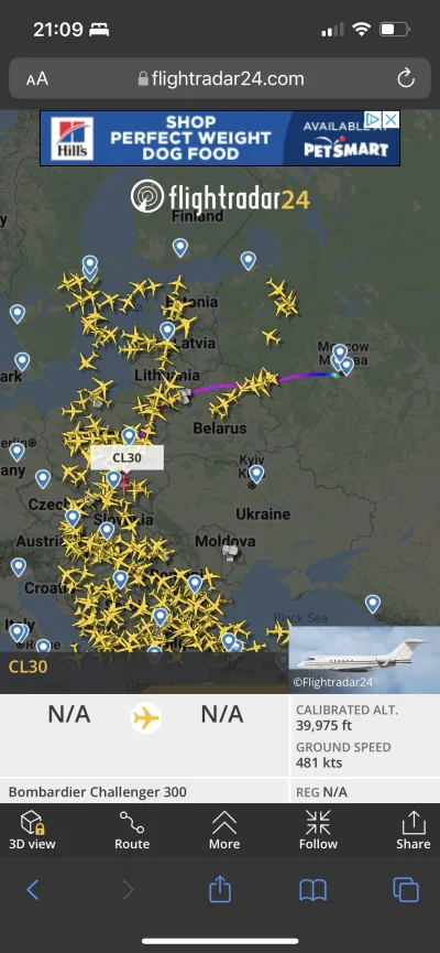 Psik1305 - Czemu już drugi samolot prywatny i jeden do Serbii poniżej leci z Rosji?ni...