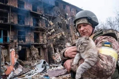 przeczki - ( ͡° ʖ̯ ͡°) 
#ukraina #koty
