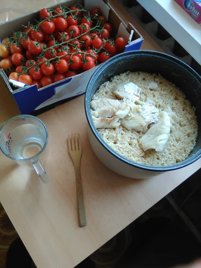anonymous_derp - Dzisiejszy obiad: Ryż brązowy, gotowany filet dorszowy, pomidory.

...