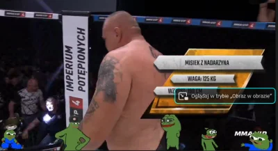 bartexx96 - Strumyk.tv dziekuje za super robote ( ͡° ͜ʖ ͡°)

#famemma #mmavip