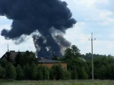 Ziom166 - @cheeseandonion: