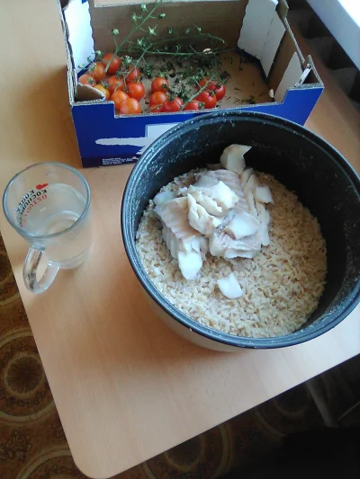 anonymous_derp - Dzisiejszy obiad: Odgrzewany ryż brązowy, duszone filety dorszowe, p...