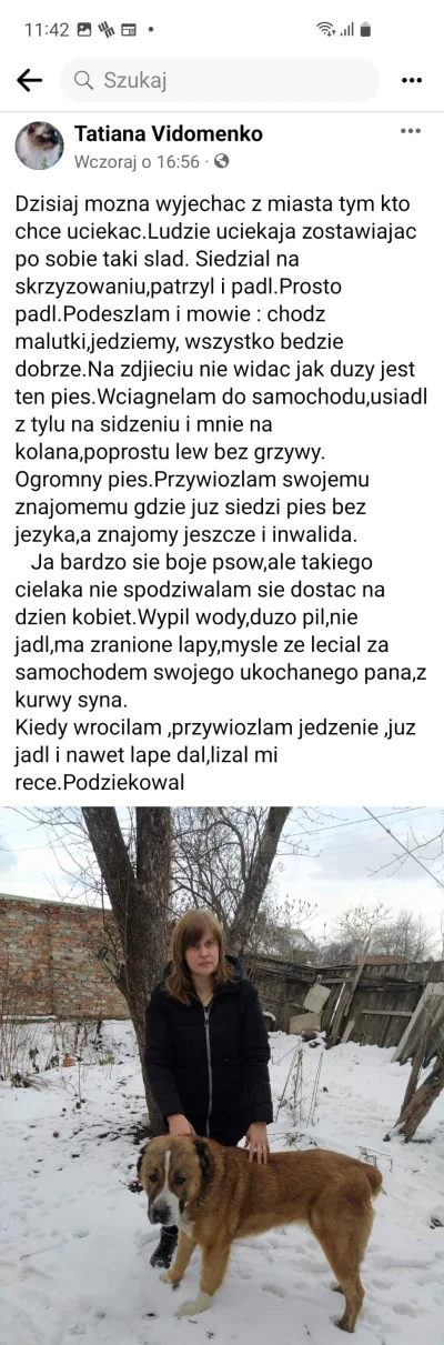 LadyMartini - @LadyMartini: tutaj jeszcze w kontekście tego posiadania psa - oczywiśc...