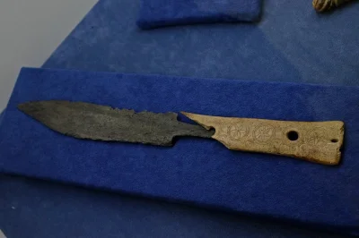 IMPERIUMROMANUM - Rzymski nóż z Sirmium

Rzymski nóż z dekorowanym uchwytem z kości...