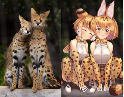 zabolek - #randomanimeshit #anime #kemonofriends #serval #kemonomimi