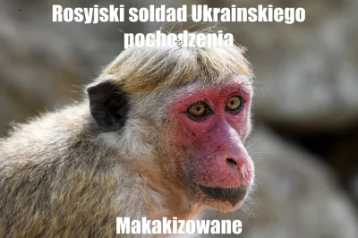 na100pomyslow1wypali - #ukraina #heheszki #memy #humorobrazkowy #rosja #wojna #nosacz...
